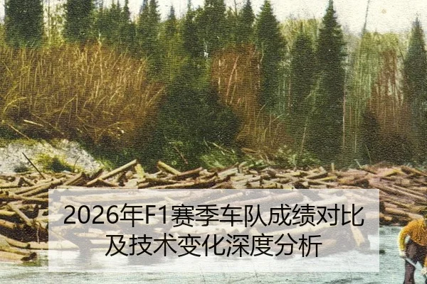 nian-sai-ji-che-dui-cheng-ji-dui-bi-ji-ji-shu-bian-hua-shen-du-fen-xi-2-110.jpg