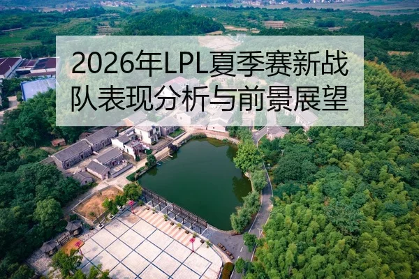 2026年LPL夏季赛新战队表现分析与前景展望