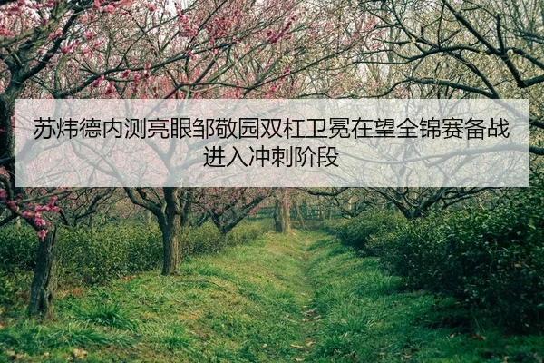 su-wei-de-nei-ce-liang-yan-zou-jing-yuan-shuang-gang-wei-mian-zai-wang-quan-jin-sai-bei-zhan-jin-ru-chong-ci-jie-duan-2-233.jpg