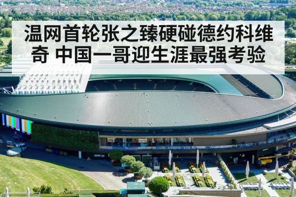温网首轮张之臻硬碰德约科维奇 中国一哥迎生涯最强考验